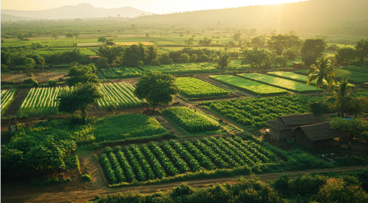 agriculture